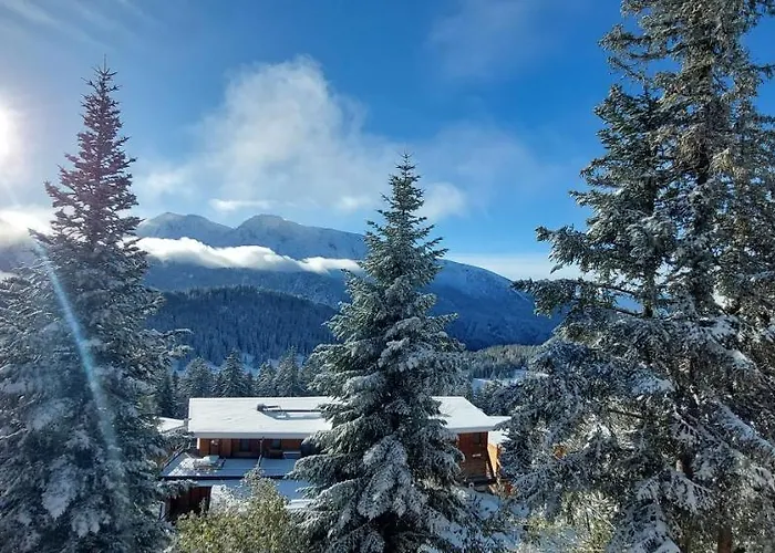 Appartement 4/6 Personnes - Vue Plein Sud - Chamrousse
